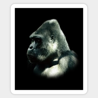 Gorilla portrait Sticker